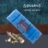 Aquarius wax melt