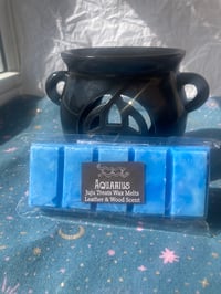 Image 2 of Aquarius wax melt