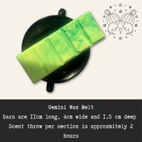 Image 5 of Gemini Wax Melts