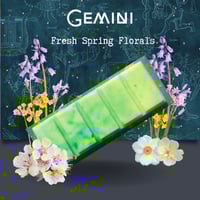 Image 4 of Gemini Wax Melts