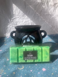 Image 2 of Gemini Wax Melts
