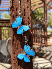 Image 2 of Butterfly Earrings
