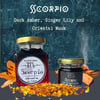 Scorpio Gel Candle