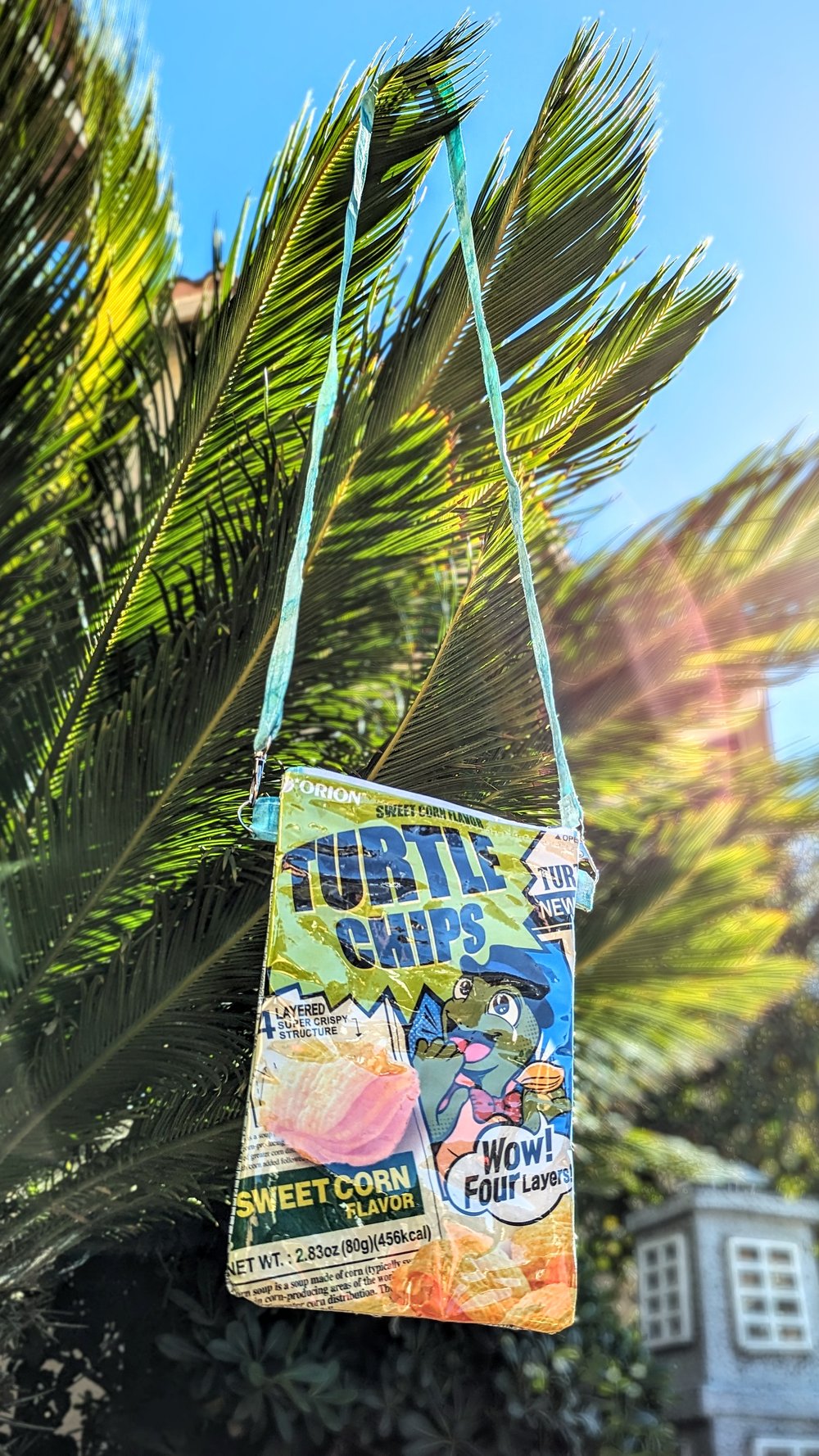 Crossbody Chip Bag