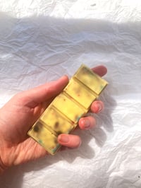 Image 3 of Capricorn Wax Melt