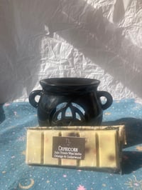 Image 2 of Capricorn Wax Melt
