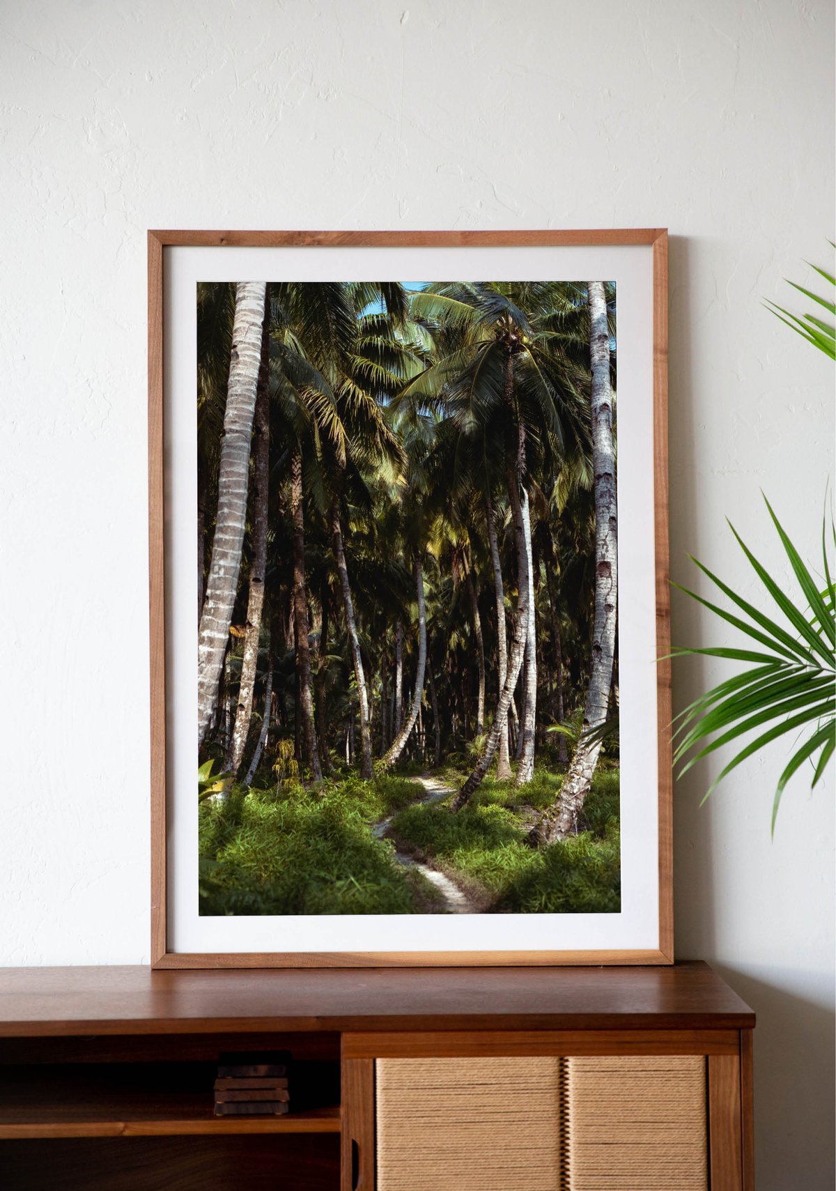 Image of The Highway (35mm)