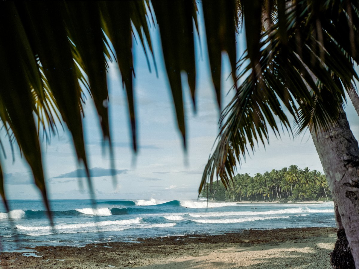 Image of Medium Format Mentawai