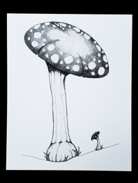 Image 1 of Mushroom Duo - Original Art, Pen and Ink