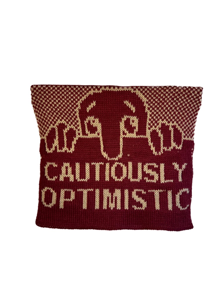 Cautiously Optimistic 