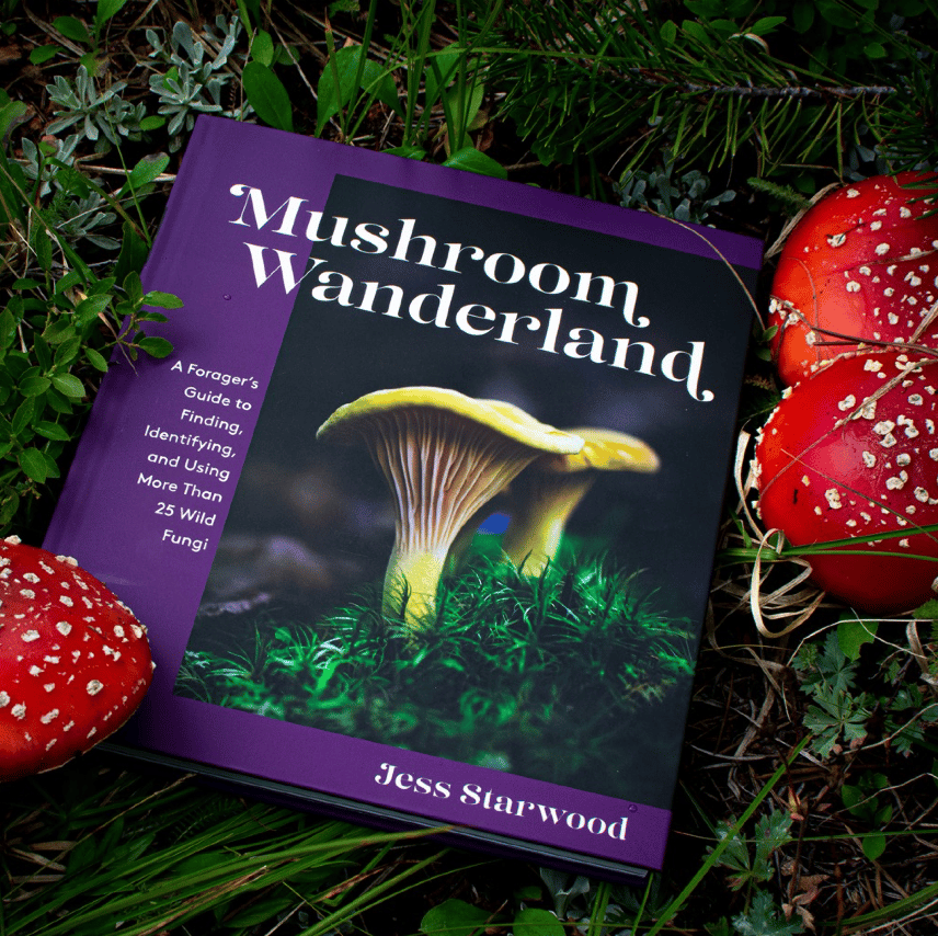 Image of *SIGNED* Mushroom Wanderland Book 