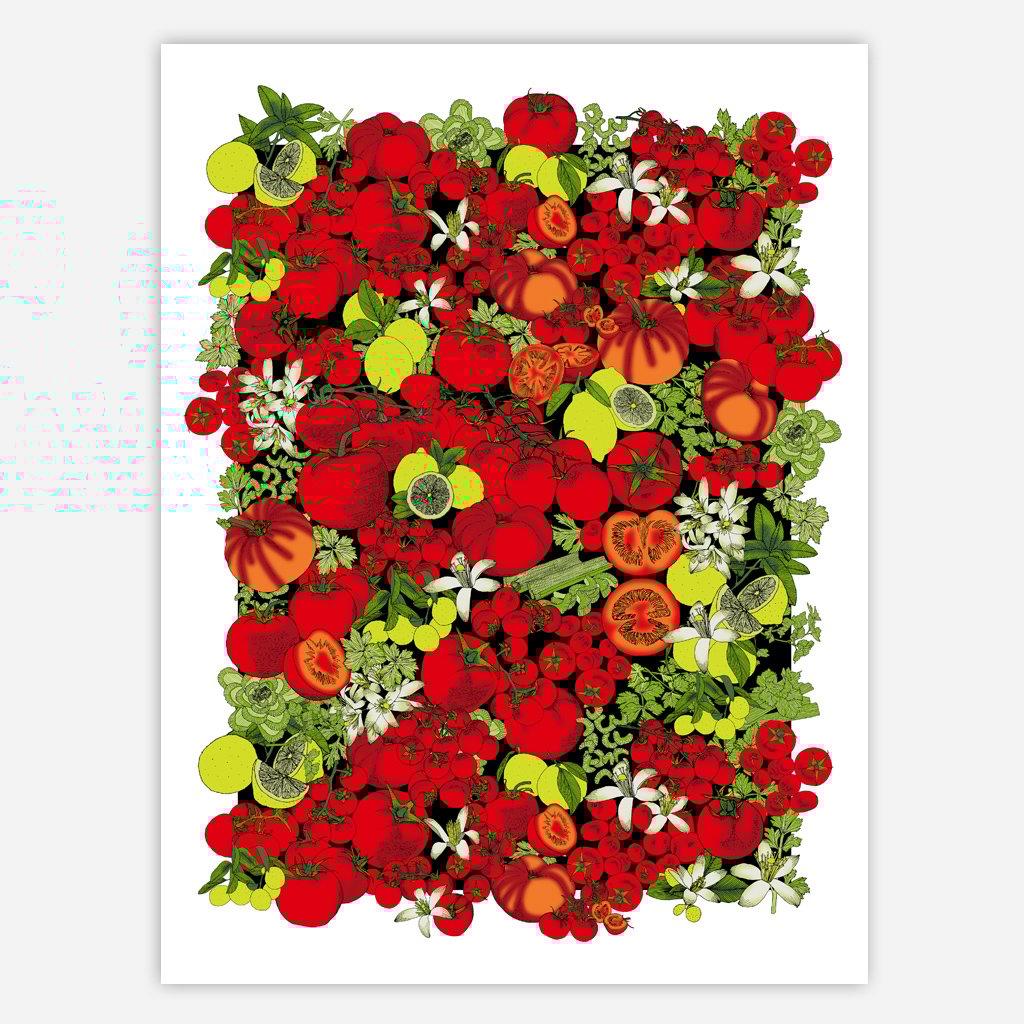 Image of Tomato Surface Pattern License