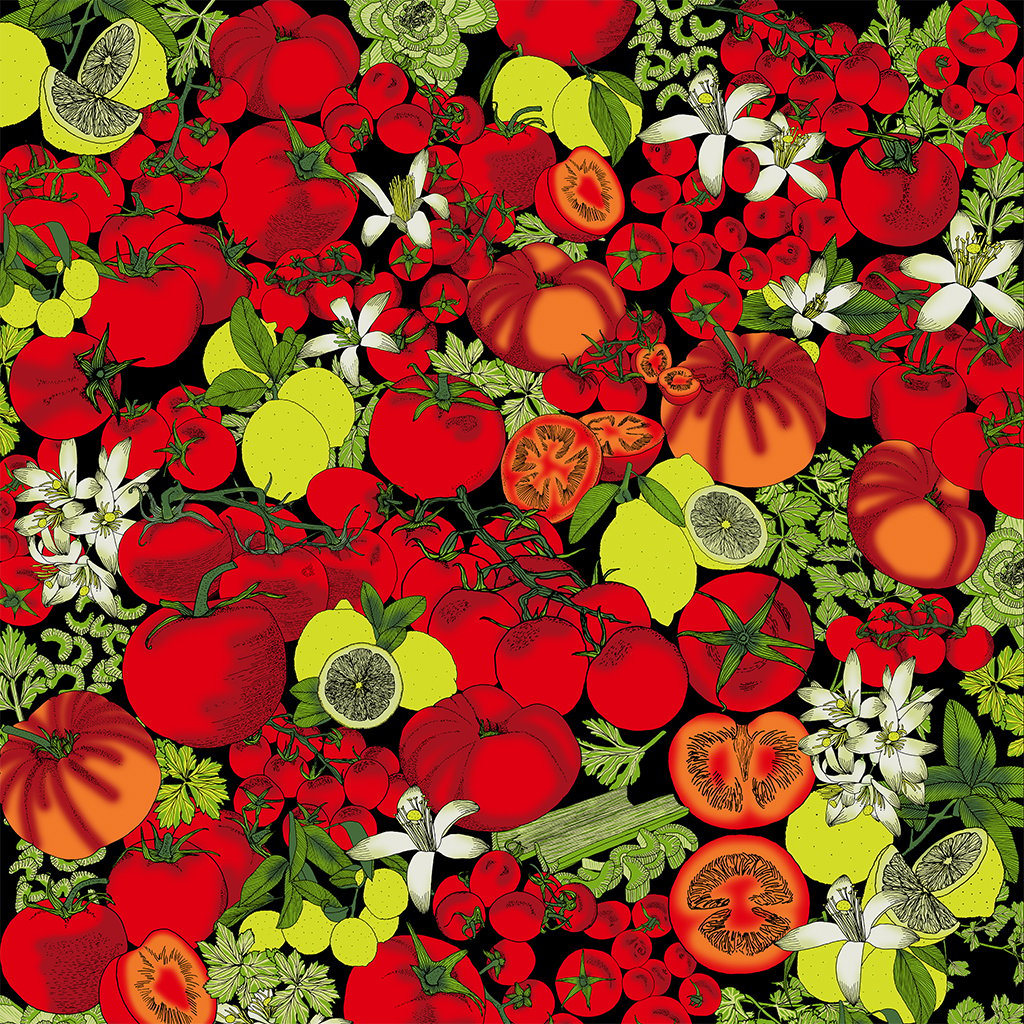 Image of Tomato Surface Pattern License