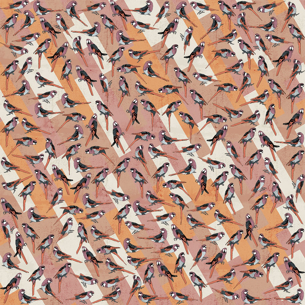 Image of ROSELLA SURFACE PATTERN LICENSE