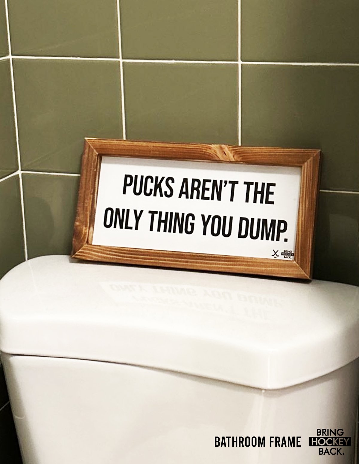 Bathroom Dumping Sign Frame