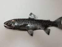 Image 2 of Rainbow Trout