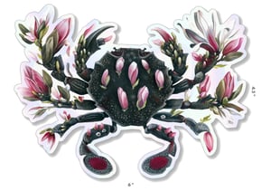 Black Crab Sticker