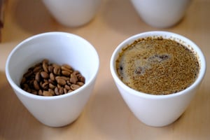Image of Atelier cupping