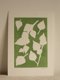 Image 1 of Birch 01 - Botanical Monoprint - A4