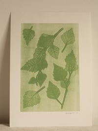 Birch 02 - Botanical Monoprint - A4