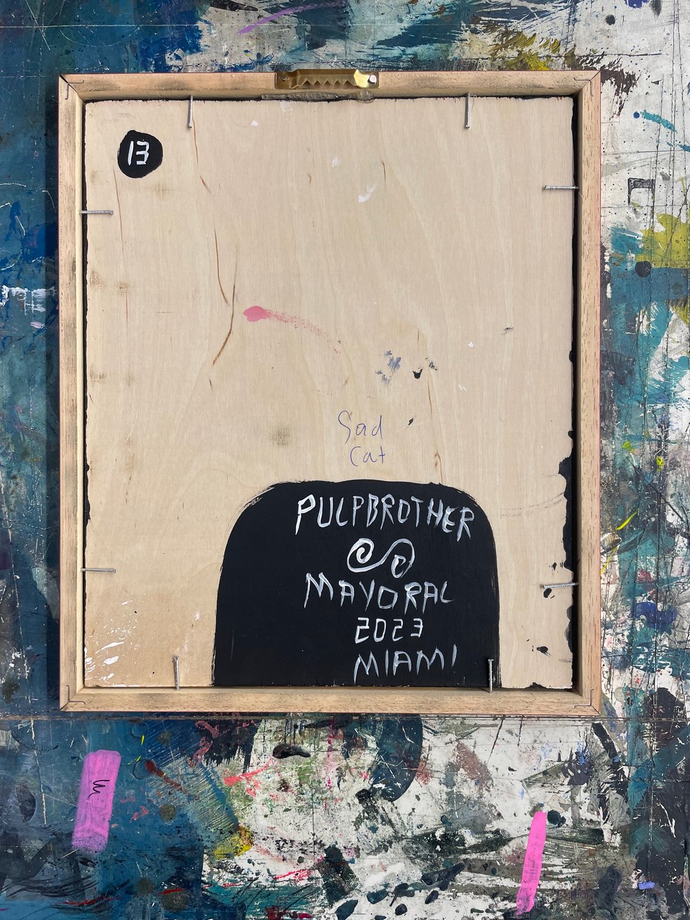 Image of 13. Pulpbrother: Sad Cat