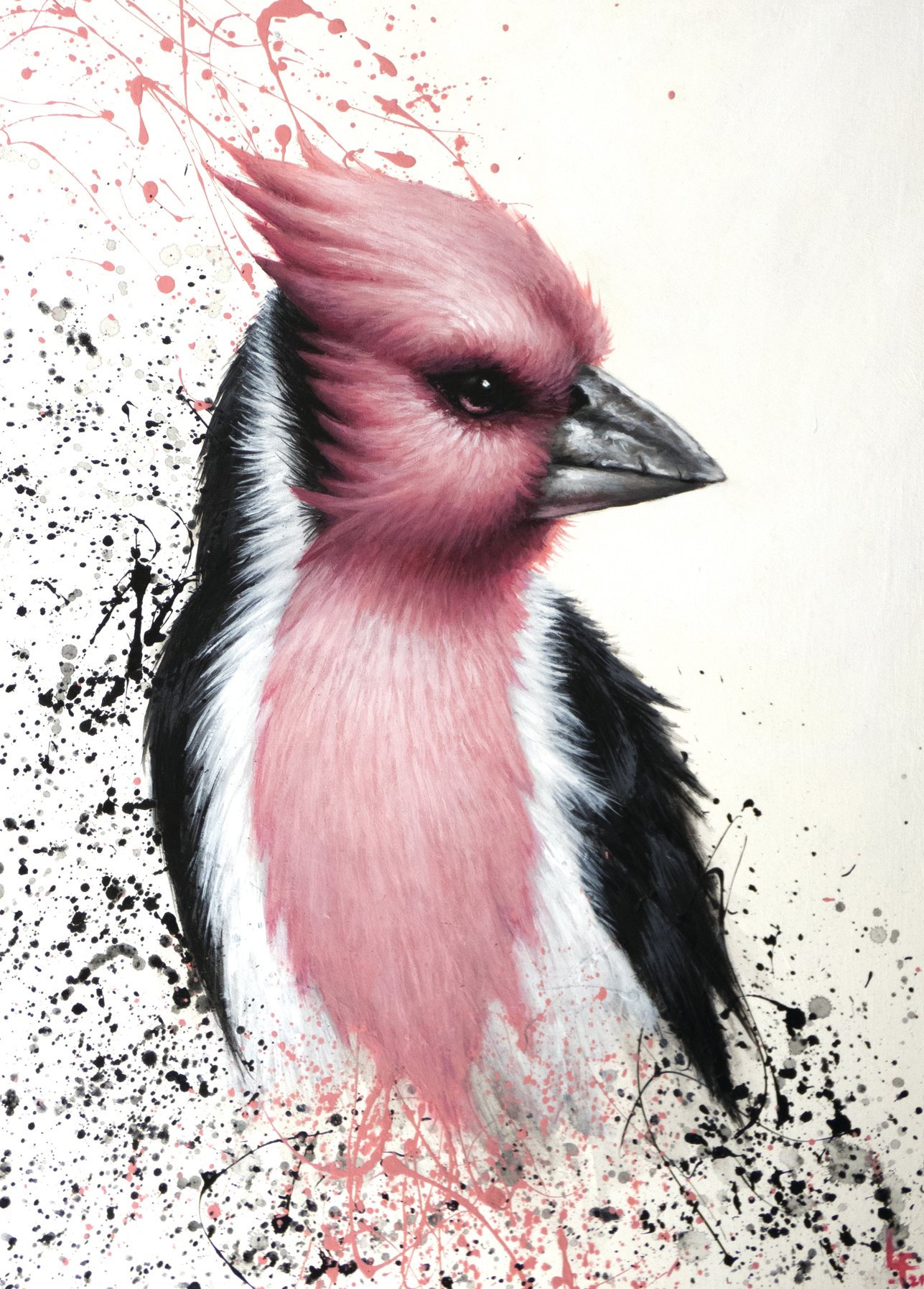 Pink bird