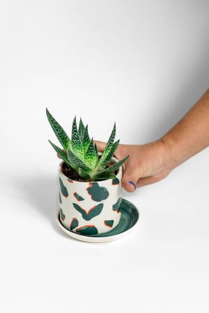 Image of Vases with plate