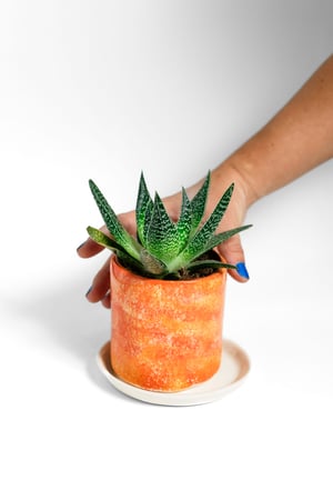 Image of Vases with plate