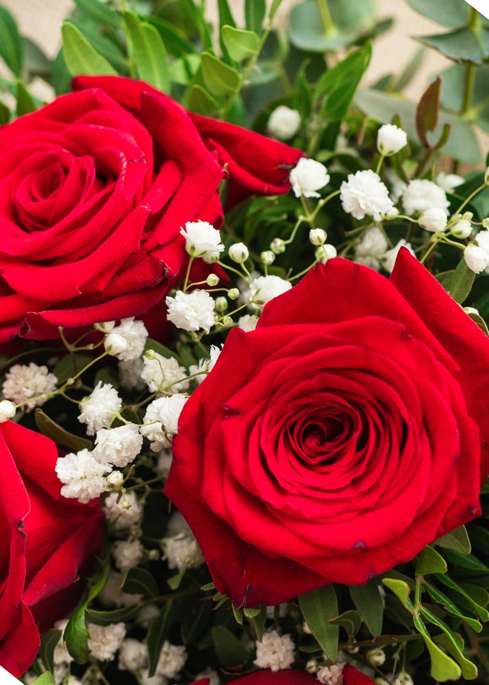 Image of Ramo de rosas rojas