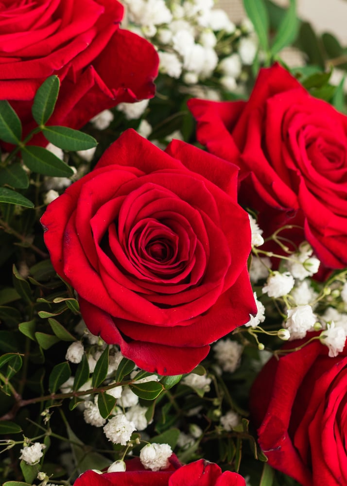 Image of Ramo de rosas rojas