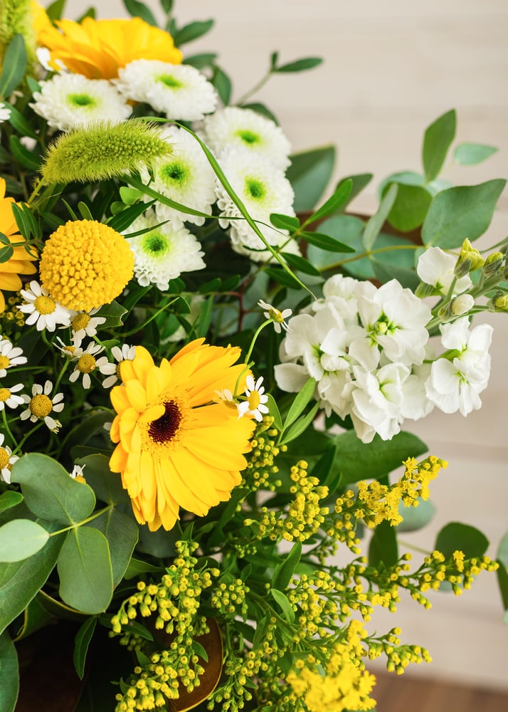 Image of Ramo campestre