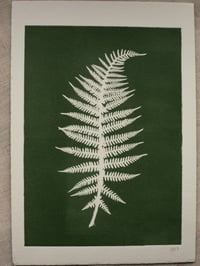 Image 1 of Fern 02 - Botanical Monoprint - A5 - Dark Green 