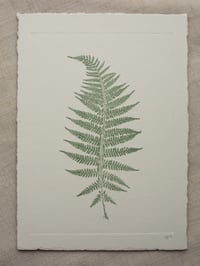 Image 1 of Fern 01 - Botanical Monoprint - A5 - Dark Green 