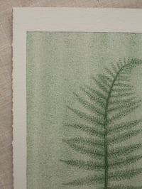 Image 4 of Fern 05 - Botanical Monoprint - A5 