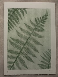 Image 1 of Fern 07 - Botanical Monoprint - A5 - Green Ghost 