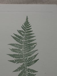Image 3 of Fern 09 - Botanical Print - A5 - Dark Green 