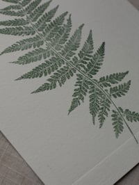 Image 2 of Fern 09 - Botanical Print - A5 - Dark Green 