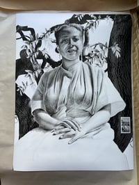 Image 1 of Among the Tree Branches