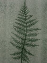 Image 3 of Fern 06 - Botanical Print - A5 - Green Ghost Print 