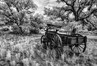 Ghost Wagon