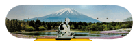 Image 3 of FUJI
