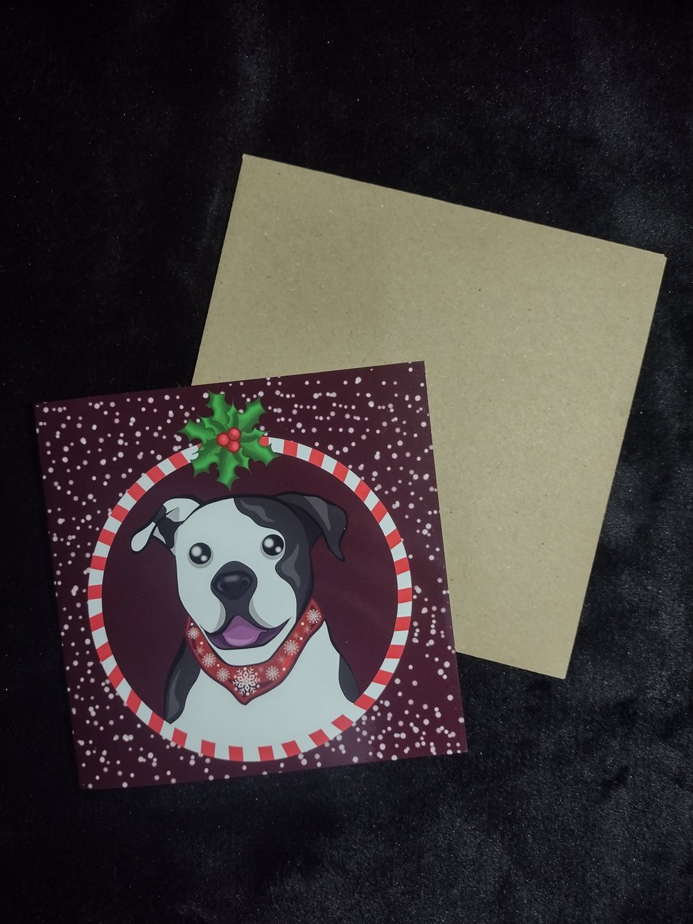 Image of Dogs Trust Charity Christmas Cards
