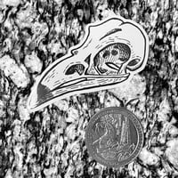 Image of Crow Skull Sticker