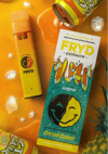 FRYD Disposable - Cactus Cooler (2g)