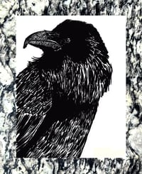 Image of "Corvid" Postcard