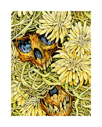 Image 1 of They Say You can Eat Dandelions Art Print