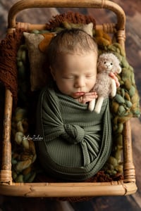 Image 2 of The Petite ~ Wrapped Only Newborn Session