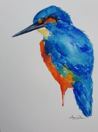 Kingfisher