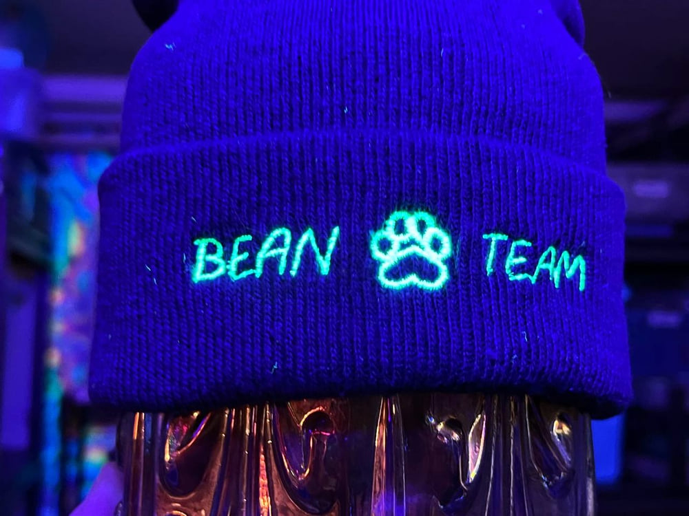 Image of Embroidered Hat: Bean Team (UV Reactive)