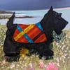 Tosh, the Scottie.